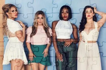 5H jigsaw puzzle