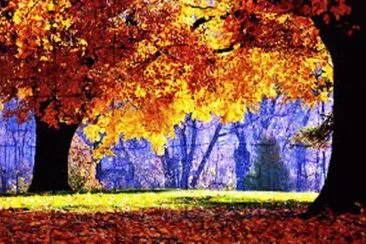 autumn-182 jigsaw puzzle