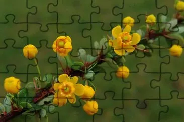 Flores Amarillas jigsaw puzzle