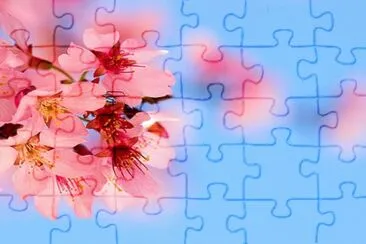 Flores jigsaw puzzle