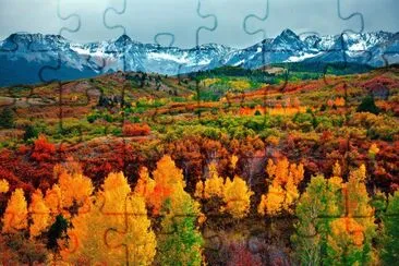 aspen jigsaw puzzle