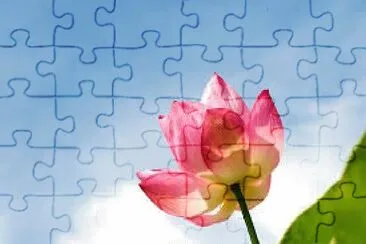 Flores jigsaw puzzle