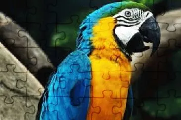 ANIMALES jigsaw puzzle