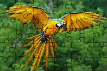 ANIMALES jigsaw puzzle