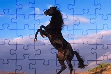 ANIMALES jigsaw puzzle