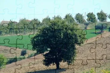 Osimo jigsaw puzzle