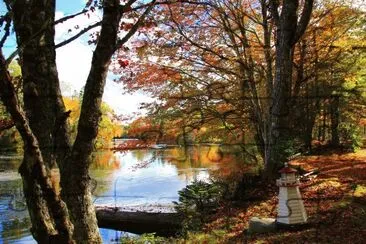 Fall on Nova Scotia river