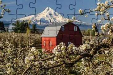 NATUREZA jigsaw puzzle