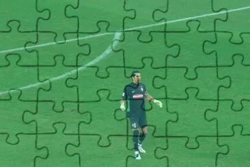 GL Buffon jigsaw puzzle