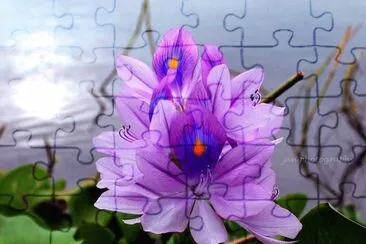 imagem jigsaw puzzle