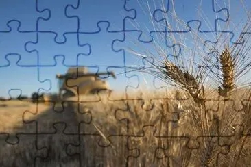 Campo jigsaw puzzle