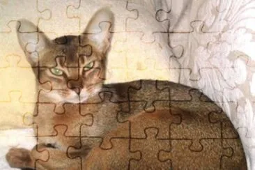 Abissino jigsaw puzzle