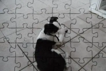 la dernière arrivée jigsaw puzzle