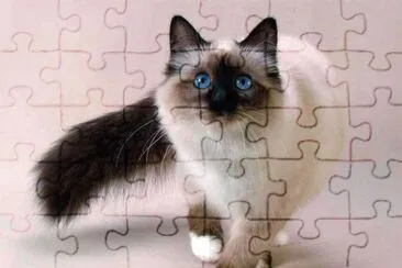 Balinese jigsaw puzzle