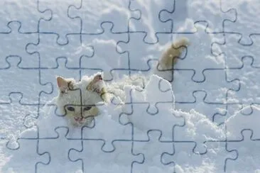 Bianco jigsaw puzzle