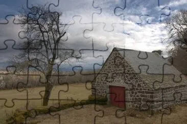 NATUREZA jigsaw puzzle