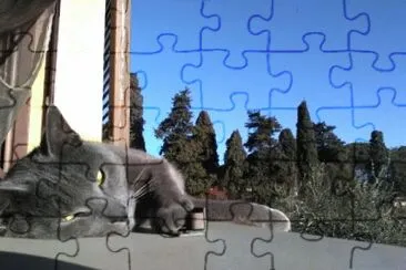 OneCatShow jigsaw puzzle