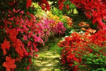 פאזל של Awesome Flower Walk Way