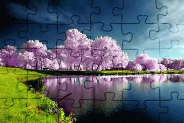 NATUREZA jigsaw puzzle