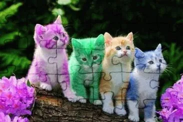 Gatos jigsaw puzzle