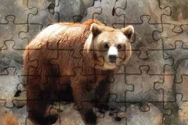 Orso jigsaw puzzle