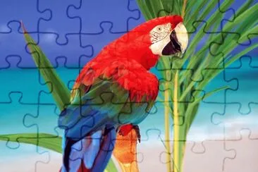 Ara jigsaw puzzle