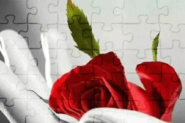 imagem jigsaw puzzle