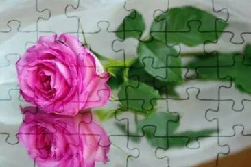 imagem jigsaw puzzle