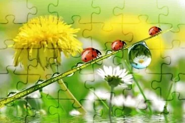 Bunt jigsaw puzzle