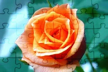 Mini-rose2 jigsaw puzzle