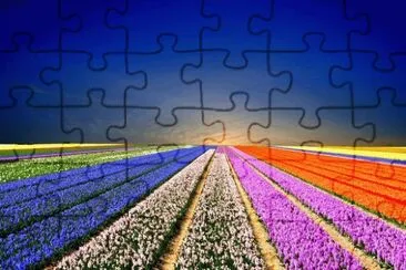 Keukenhof The Netherlands jigsaw puzzle