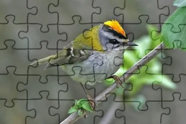 Fiorrancino jigsaw puzzle