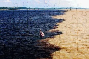 פאזל של Encuentro entre RÃ­o Orinoco y RÃ­o CaronÃ­