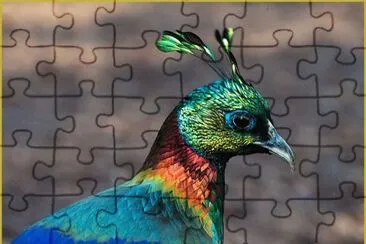 Lofoforo jigsaw puzzle