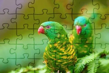 Lorichetto petto squamoso jigsaw puzzle