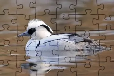 Pesciaiola jigsaw puzzle