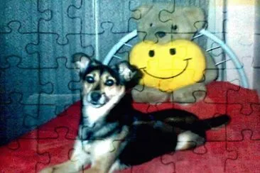 MI PERRA PINCKY jigsaw puzzle