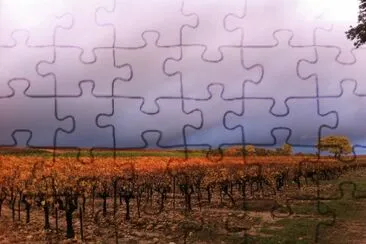 Lirac, Gard, France jigsaw puzzle