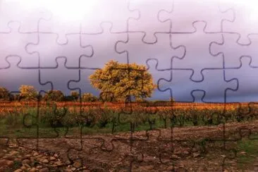 Lirac, Gard, France jigsaw puzzle