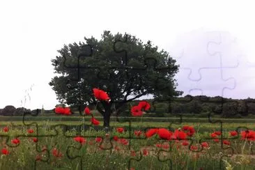 Lirac, Gard, France jigsaw puzzle