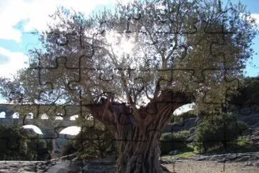 Le Pont du Gard, France jigsaw puzzle