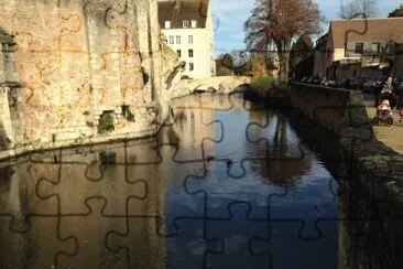 Charte jigsaw puzzle