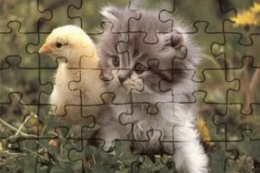 ANIMALES jigsaw puzzle