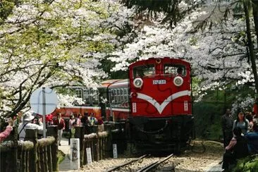 å°ç£é˜¿é‡Œå±±å°ç«è»Š