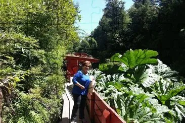 Termas geomÃ©tricas, Chile