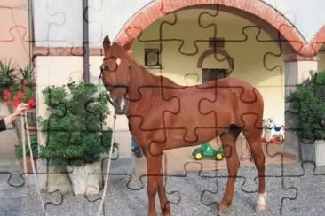 Anglo arabo spagnolo jigsaw puzzle