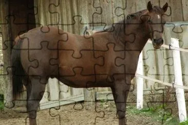 Appenninico jigsaw puzzle