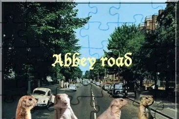 abbey road jigsaw puzzle