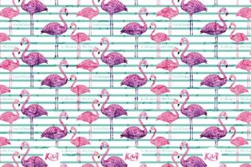 FLAMINGOS