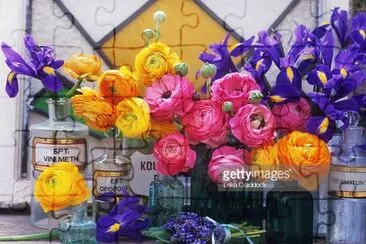 פאזל של Gorgeous Ranunculus and Iris Flowers